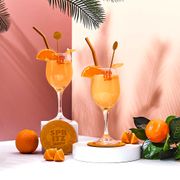 Coffret cocktail Spritz 10 pièces