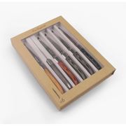 Coffret kraft 6 couteaux steak coloris mixés - Royal Louis