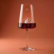 Verre à vin Mont blanc 40cl - Topographic