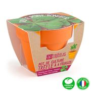 Mini kit d6cm terre cuite trèfle 4 feuilles