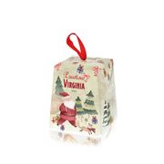 Panettone au levain 100g