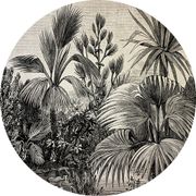 Set de table vinyle foret d35cm