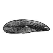 Abat-jour pour suspension en fer noir d80cm - Organic