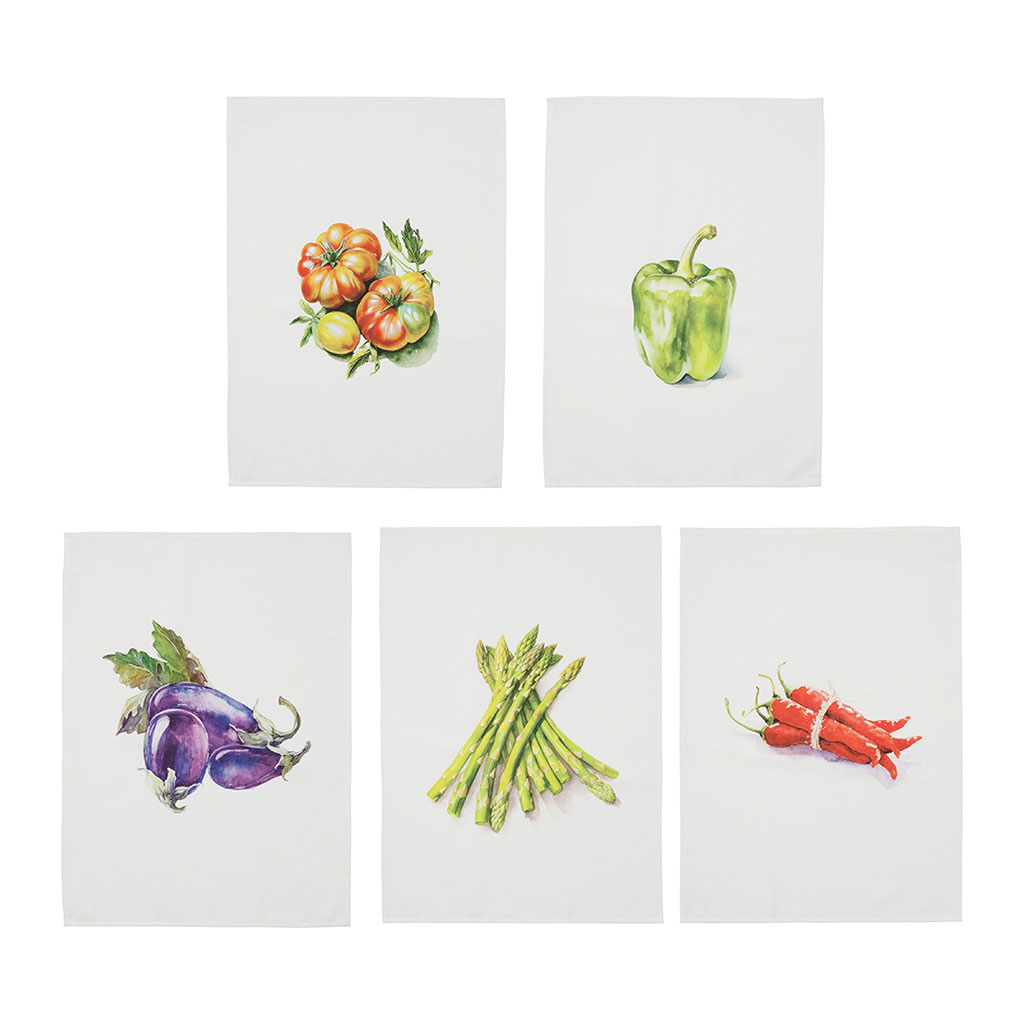 Torchon (x5) en coton multicolore 50x70cm - Primeur